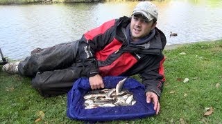 Pole Fishing For Roach On The Tidal River Yare [upl. by Asilej]