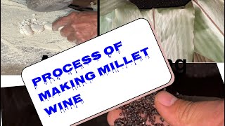 Traditional method of making millet wine trandingbirds tranding trandingmilletwine [upl. by Elocim]