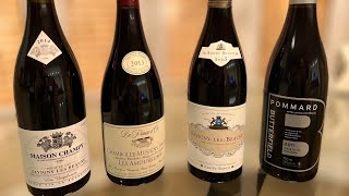 Burgundy Wine Basics  Different Regions of Burgundy and Tasting Strategy for Beginners [upl. by Ahseyd791]