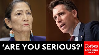 WATCH Josh Hawley Flabbergasted By Answer From Deb Haaland [upl. by Adiel]