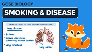 Effects of Smoking on Disease  GCSE Biology [upl. by Rutherford]