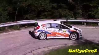 Rally Piancavallo 2016 Action [upl. by Derwin]