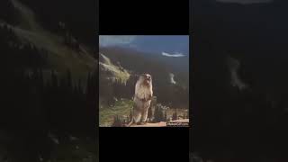 Marmot Scream Meme But Its SUS [upl. by Anu591]