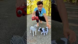 RC Remote control Two Horse 🐎 with Cow testing 🔥 [upl. by Angeli202]