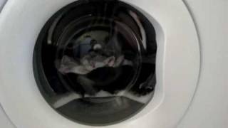 whirlpool awm4066 washing machine  programm 1 cottons prewash 70 [upl. by Ruthy692]