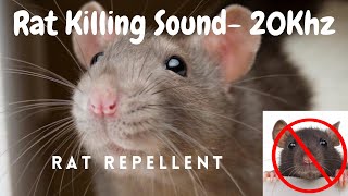 Anti Rat Repellent  Mouse Killer Sound  Very High Pitch Sound  20Khz  Kill Rats using mobile [upl. by Hersh]