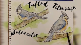 How to paint line and wash watercolor Birds for beginners  ArtandcraftbyShakira [upl. by Nolek]