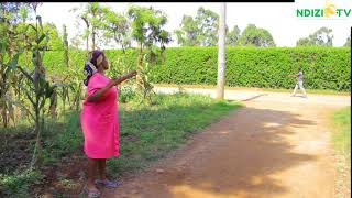 Kemunto and Mosoti Finally Do It  ndizi tv kisii comedy [upl. by Ahtabat]