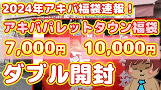 【2024年アキバ福袋速報】アキバパレットタウンの7000円10000円福袋ダブル開封！【福袋速報Part1】 [upl. by Bannasch]