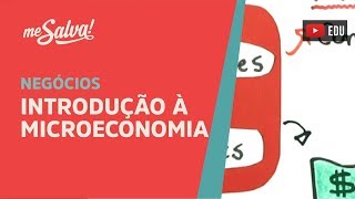 Me Salva Negócios  IMEC01  Introdução à microeconomia [upl. by Hgielrebma]