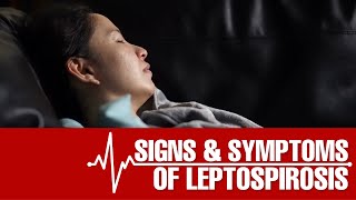 What are the Signs and Symptoms of Leptospirosis [upl. by Yllatan109]