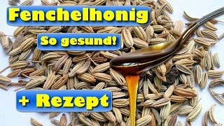 Fenchelhonig – gesund und nicht nur ein natürlicher Hustensaft für Kinder  mit Rezept [upl. by Karp]