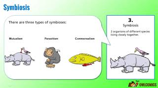 Science Cartoon Symbiosis Predation and Competition [upl. by Dedrick]