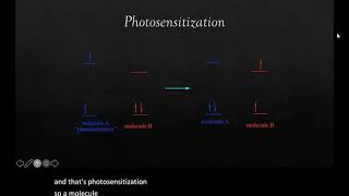 Photosensitization [upl. by Sollows]