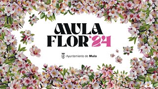 Presentación MulaFlor 2024  Fiesta del Almendro en Flor de Mula [upl. by Ennaharas]