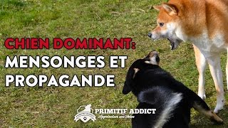 Le Chien Dominant  Mensonges et Propagande [upl. by Elena979]