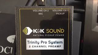 Condenser Mic vs KampK Trinity Pro [upl. by Schnorr]