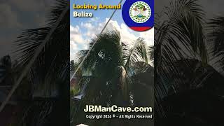 Looking Around BELIZE JBManCavecom Shorts [upl. by Leicester]