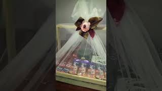 hamper basket with choclates song tamil movie hampersweddinglove [upl. by Aitra285]