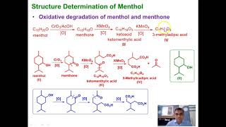 Lecture 4 Menthol [upl. by Lachus]