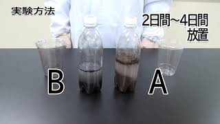 教員用  中学生物分野 実験動画「土の中の微生物のはたらき」（実験方法編） ver3 [upl. by Kalb]