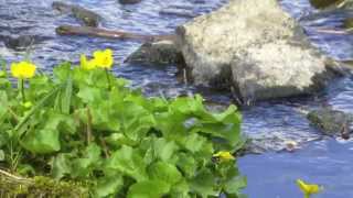 The Trough Of Bowland Lancashire [upl. by Kendrick]