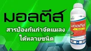 มอลตีส สารฟิโพรนิล ตราหมาแดงป้องกันกำจัดแมลง และปลวก [upl. by Romeyn298]