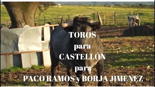 CASTELLÓN Una CORRIDA DE TOROS para PACO RAMOS y BORJA JIMÉNEZ [upl. by Jacobson]