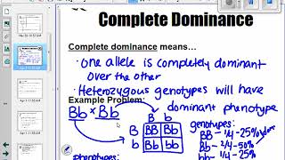 Complete Dominance Punnett Squares [upl. by Okimat]