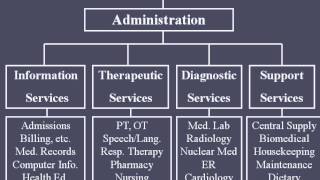 Hospital Organizational Structure [upl. by Demmahom]