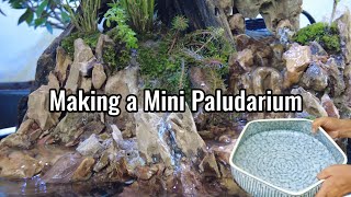 Making a Mini Paludarium  Ceramic pot dragon stone driftwood [upl. by Nicol]