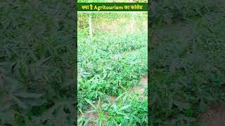 क्या है Agritourism का Concept कैसे हो रहा है प्राकृतिक संरक्षण Farming  Natural Tourism shorts [upl. by Fey]