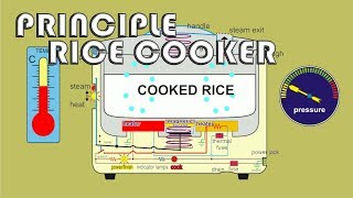 Animation principle how to work rice cooker rice warmer [upl. by Nihcas]