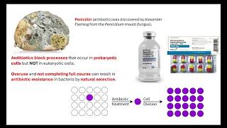 Types of immunity and sources of medicines OCR A ALevel Biology Revision [upl. by Thorbert]