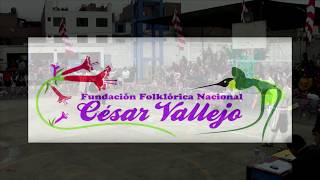 Chaku de Vicuñas Junin  Tarma  FFN Cesar Vallejo  CONCURSO EL MACAREÑO 2018  Tikary Prod [upl. by Star]