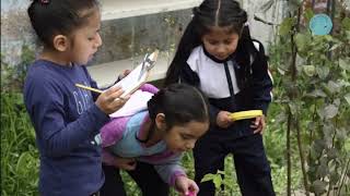 ¿Cómo podemos contrastar las hipótesis de los niños en clase [upl. by Gazo]