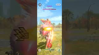 MHN Mizutsune 9 Urgent using 105 Zinogre DB [upl. by Ileek]