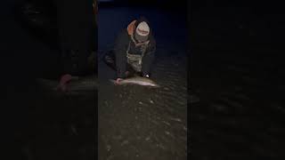 Winter fishing in Alaska fishing fishalaska troutfishing [upl. by Felicity603]