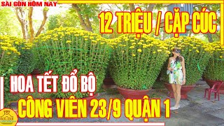 HOA TẾT Sài Gòn 2024  Dàn Bông Cúc CỰC KHỦNG quotĐỔ BỘquot Công Viên 23 Tháng 9 Quận 1  Sài Gòn Hôm Nay [upl. by Dnalro]