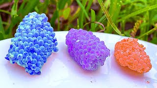 ASMR Crushed snail eggs  Apple snail Eggs 19 Minutes ASMR Relaxing Hungry And Deep Sleep🐌 [upl. by Esital]