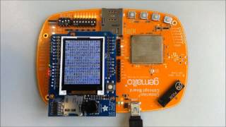 Cinterion Concept Board Display Demo [upl. by Schalles]