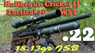 Kalibrgun Cricket II Tactical 70 WST shooting 1813gr to 100yd [upl. by Nyrehtak977]