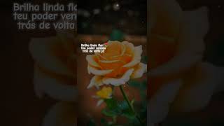 BRILHA LINDA FLOR [upl. by Stormy]