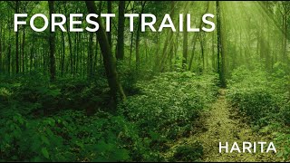 Rohan Harita Forest Trail [upl. by Atekehs]