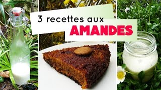 Recettes  lait damandes crème végétale et gâteau aux amandes [upl. by Domash]