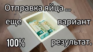 Отправил яйцо с boxberry [upl. by Hanoj]