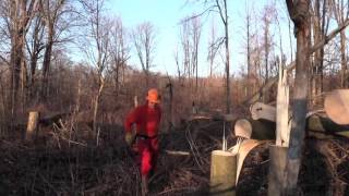 Letting light into a whitetail food plot [upl. by Jeromy876]