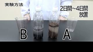 教員用  中学生物分野 実験動画「土の中の微生物のはたらき」実験方法編 [upl. by Narej]