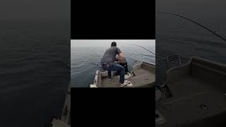 Young Fellas First King Salmon shorts lakehuron goderich fishing outdoors fish [upl. by Solegna]