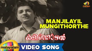 Kalithozhan Movie Songs  Manjilayil Mungithorthe Song  Prem Nazir Sheela [upl. by Suirada520]